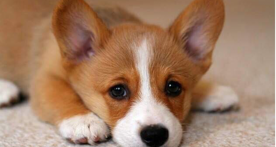 ถ้าจะขี้เกียจขนาดนี้ลูกเอ้ย