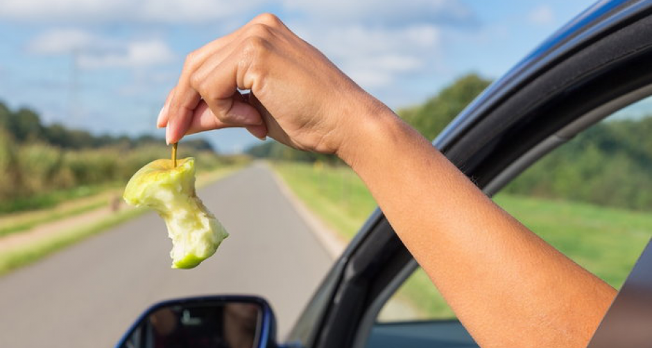 6 วิธีปกป้องรถจากกองทัพแมลงสาบ ปิดความเสี่ยงอุบัติเหตุบนท้องถนน