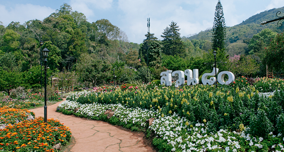 3 สวนดอกไม้ในเมืองไทย น่าไปที่สุด