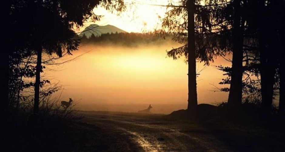 10 วิธีเที่ยวป่าให้เป็นมิตรกับธรรมชาติมากที่สุด