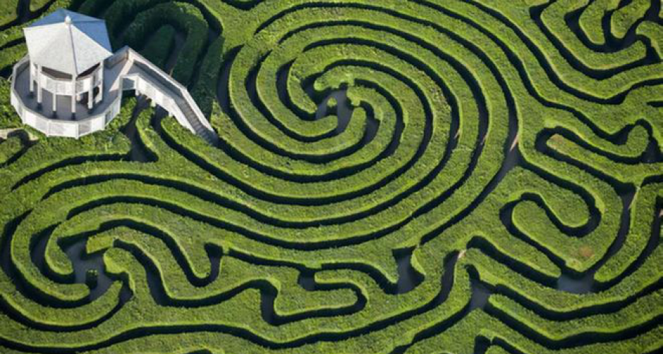 เอไอก้าวล้ำไปอีกขั้น รู้จักทำงานเลียนแบบเซลล์สมองมนุษย์ได้เอง