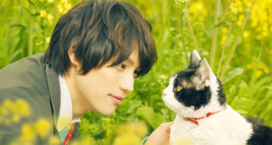 ต้อนรับวันแมวสากล ด้วยหนังแมวสุดน่ารัก The Travelling Cat Chronicles การออกเดินทางทั่วประเทศญี่ปุ่น เพื่อตามหาเจ้าของใหม่ให้เจ้าเหมียวนานะ