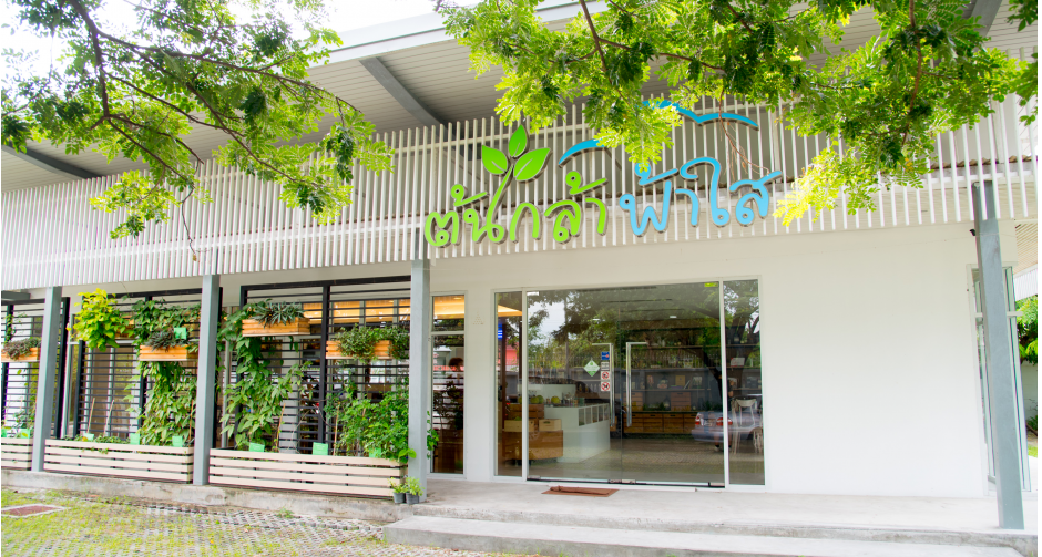 ร้านต้นกล้า ฟ้าใส เสนอโปรโมชั่นสุดพิเศษฉลองเดือนแห่งวันแม่ 