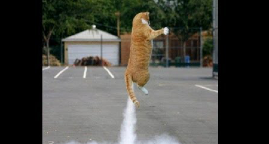 ตด ! จะไปเลี้ยงสมอง ถ้าเราอั้นไม่ยอมตด 