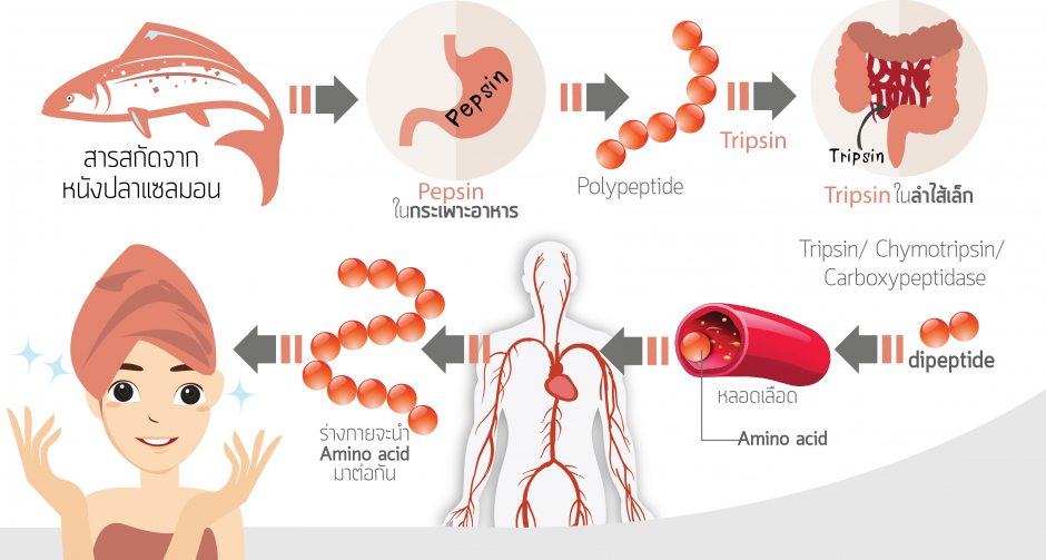 5 เคล็ดลับการดูแลสุขภาพดีจากภายในที่จะช่วยคุณมีผิวสวย