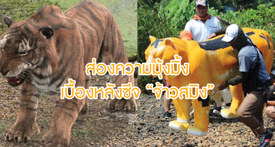 ลืมไปเลยว่าเคยเกรี้ยวกราด! ส่องความมุ้งมิ้งเบื้องหลังซีจีเสือ "จ้าวสมิง"