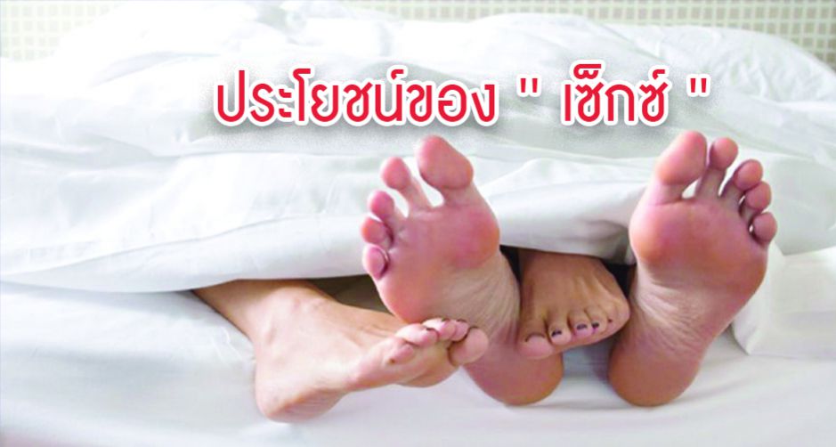 ประโยชน์ของ ' เซ็กซ์ '