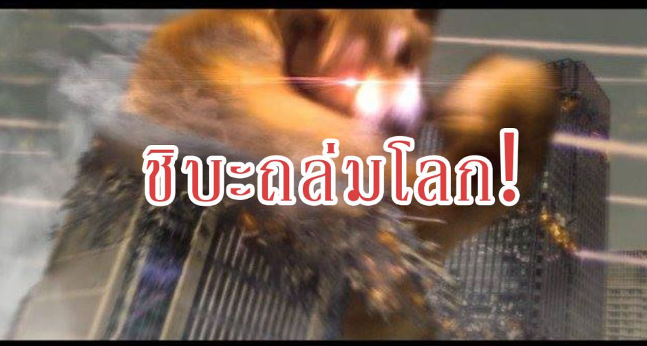 เเข็งแกร่งกว่านี้มีอีกไหม? เตรียมพบกับชิบะสุดบึกบึน
