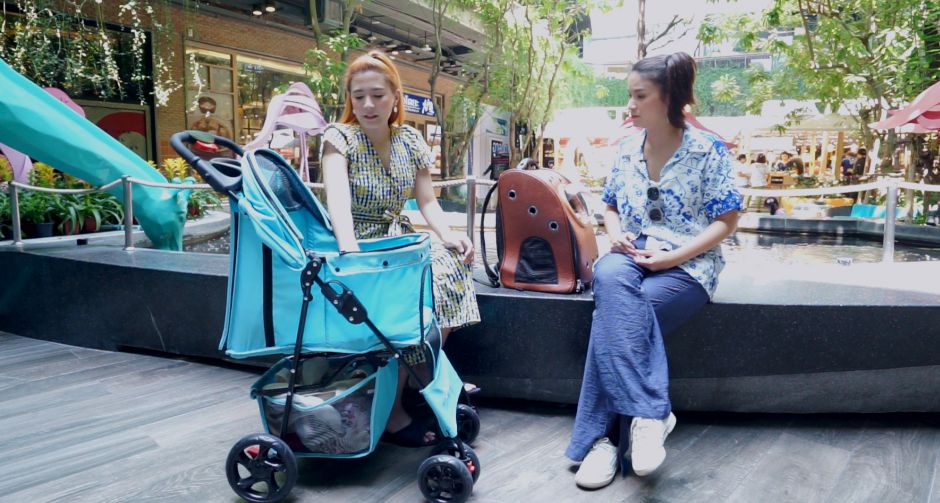แพรว คณิตกุล ชวนดูชีวิตติดแมว โฟกัส ร่วมแจมพา ไมโล ออกผจญภัย