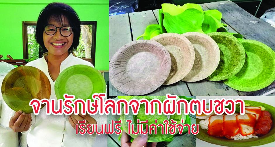 จานรักษ์โลกจากผักตบชวา เรียนฟรีไม่มีค่าใช้จ่าย