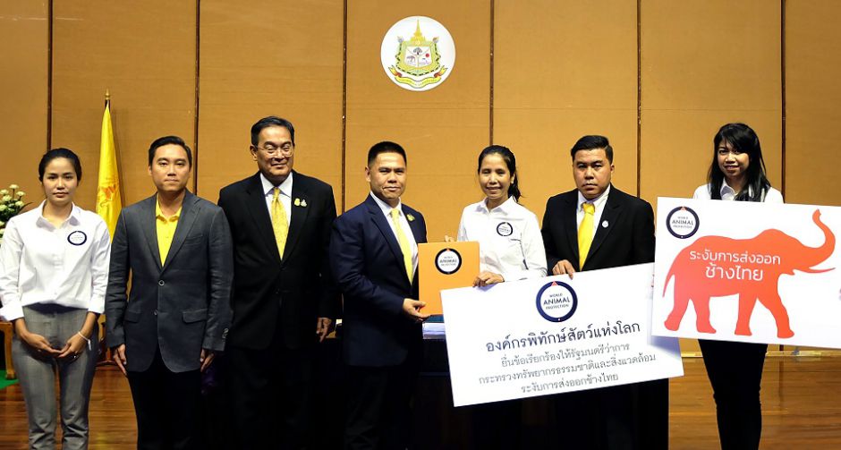 องค์กรพิทักษ์สัตว์แห่งโลกร่วมยื่นข้อเรียกร้องให้ กระทรวงทรัพยากรธรรมชาติและสิ่งแวดล้อม ระงับการส่งออกช้างไทย