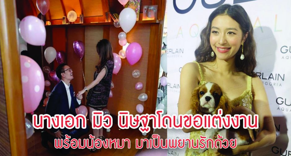 ไฮโซเซนต์ขอนางเอก มิว นิษฐาแต่งงาน พร้อมน้องหมาพันธุ์แควาเลียร์คิงชาลส์สแปเนียล มาเป็นพยานรักด้วย  