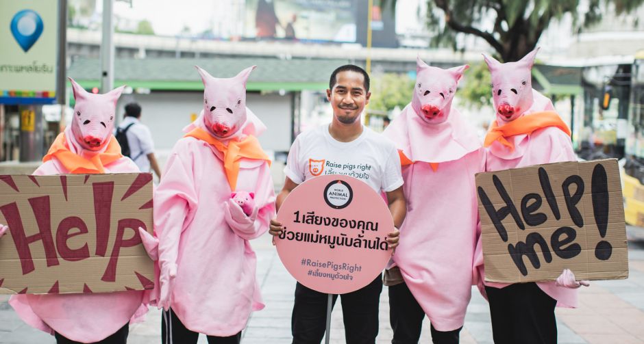 องค์กรพิทักษ์สัตว์แห่งโลก จัดโรดโชว์ เลี้ยงหมูด้วยใจ #RaisePigsRight  เรียกร้องให้ซูเปอร์มาร์เก็ตไทย ร่วมยุติความโหดร้าย