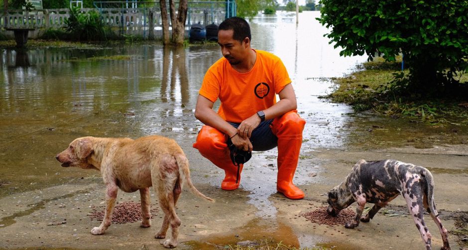 องค์กรพิทักษ์สัตว์แห่งโลก เข้าช่วยสัตว์เลี้ยงที่ประสบภัยน้ำท่วมในร้อยเอ็ด