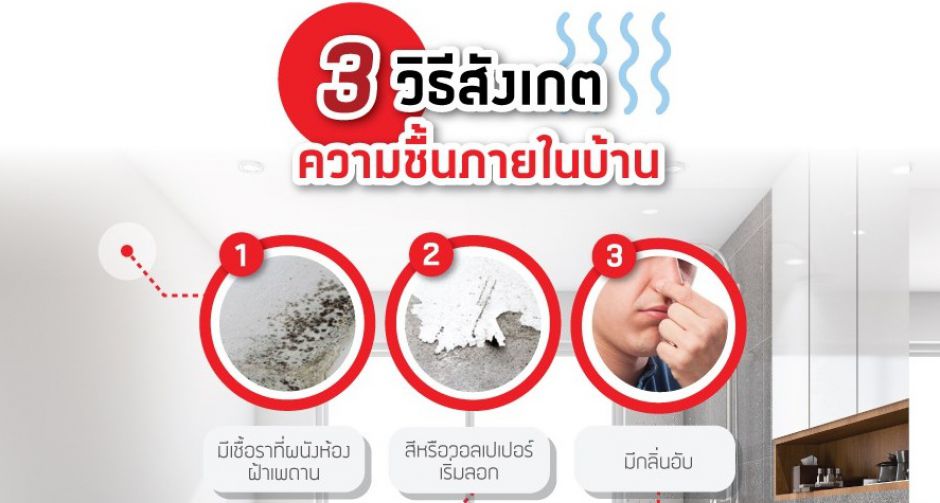 ยิปซัมตราช้าง แนะเคล็ดลับง่ายๆ ให้เจ้าของบ้านพร้อมรับมือกับความชื้นในบ้าน สำหรับหน้าฝนนี้