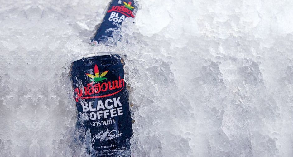 มาลีฮวนน่า แบล็กคอฟฟี่ พร้อมแล้วสำหรับช่องทางการสั่งซื้อผ่าน Zilingo Asia Mall