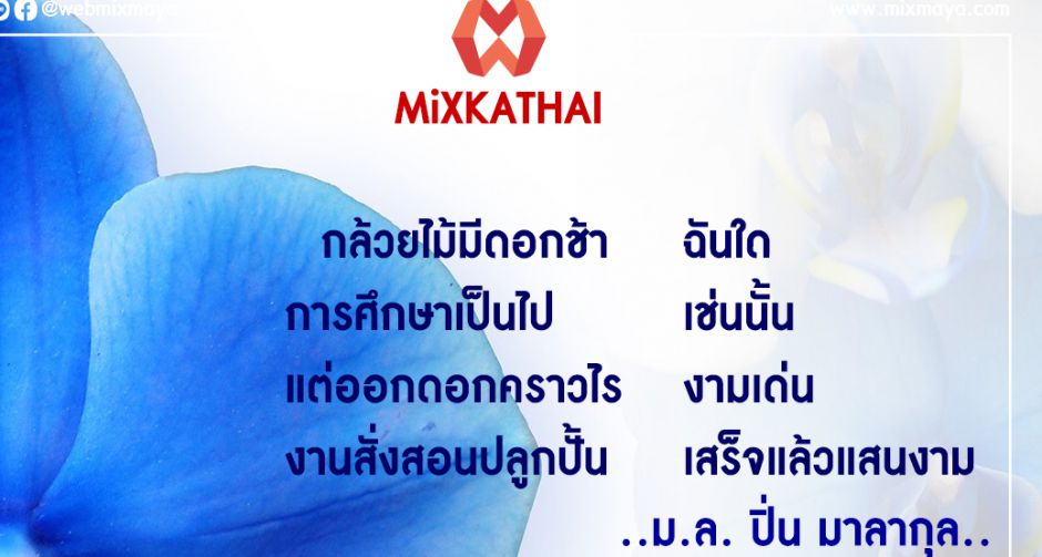 MiXKATHAI กล้วยไม้มีดอกช้าฉันใด การศึกษาเป็นไปเช่นนั้น
