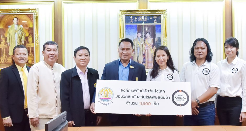 องค์กรพิทักษ์สัตว์แห่งโลก สานต่อโครงการ Lifes Better with Dogs มอบวัคซีน 11,500 เข็มให้กรมปศุสัตว์ เพื่อช่วยสุนัขจรจัด