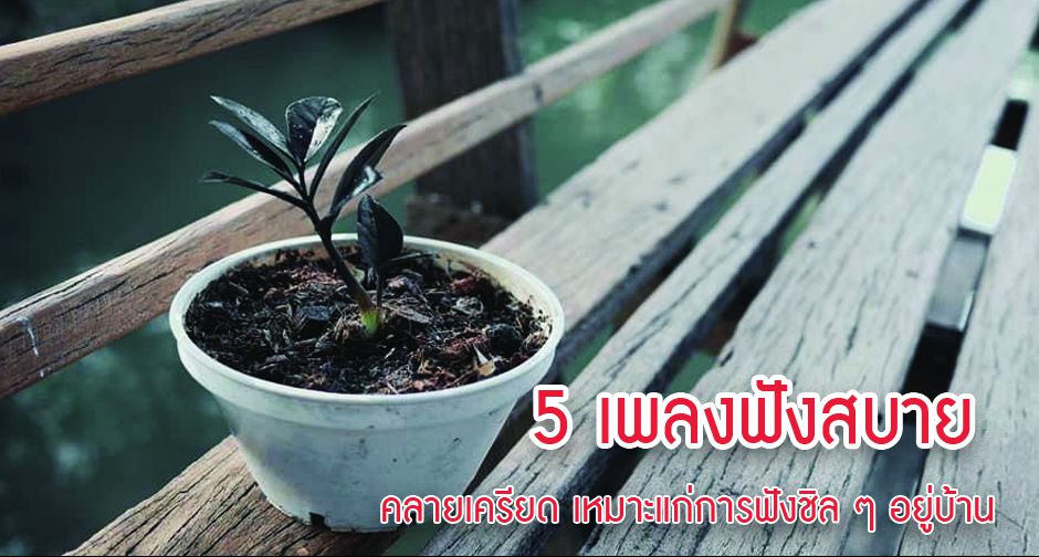 ลัลล้า! 5 เพลงฟังสบายคลายเครียด เหมาะแก่การฟังชิล ๆ อยู่บ้าน