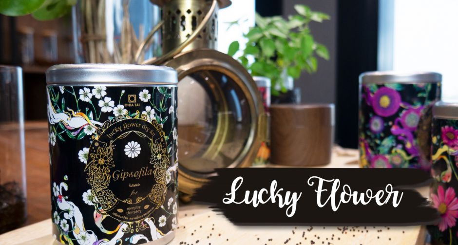สายมูห้ามพลาด! เจียไต๋ โฮมการ์เด้นชวนปลูก Lucky Flower เสริมดวงให้ชีวิต พร้อมเนรมิตสีสันให้บ้าน