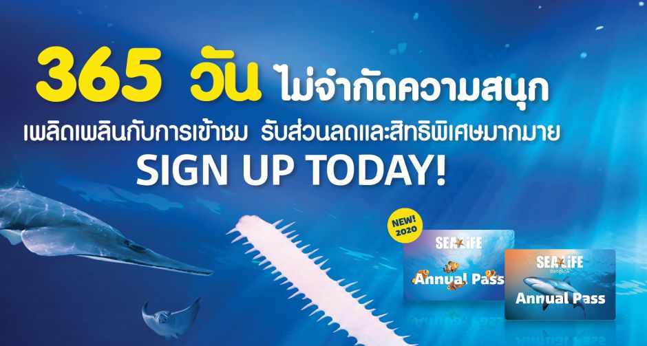 เปิดแล้ว! ซีไลฟ์ แบงคอก ชูมาตรการเที่ยวสนุก คุ้มค่า ปลอดภัย  ปล่อยโปรฯ สุดคุ้ม...ลดมากกว่า 50% เที่ยวแบบไม่อั้นทั้งปี