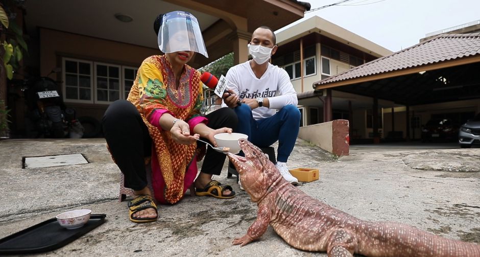สมจิตร ทึ่งความผูกพันคนกับกิ้งก่ายักษ์ เตกู ในรายการ อึ้งทึ่งเสียว ช่อง 8
