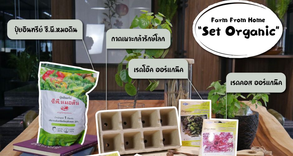 เจียไต๋ ส่งชุดปลูกผักออร์แกนิคอยู่บ้าน Farm From Home ให้การปลูกผักสวนครัวเป็นเรื่องง่าย แม้มือใหม่หัดปลูก