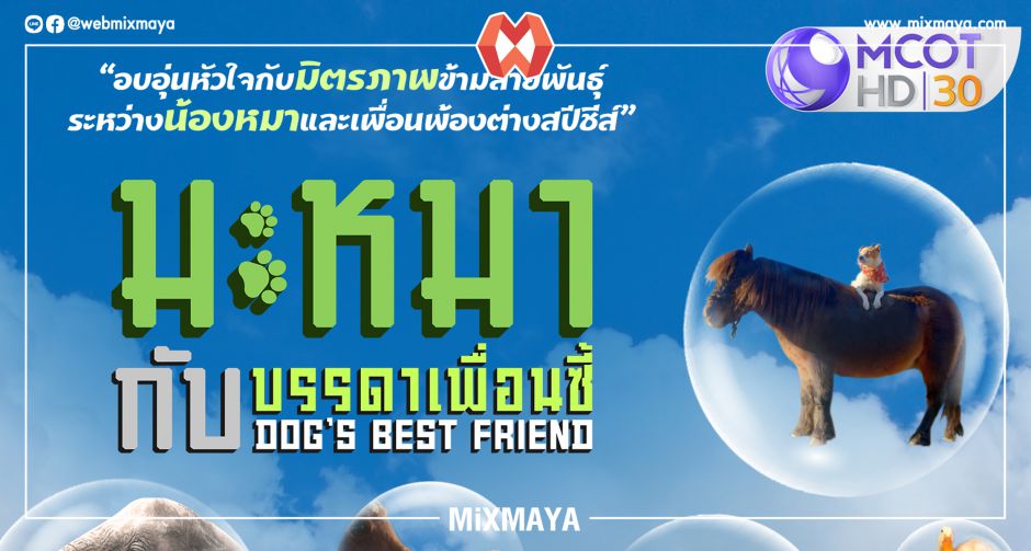 ช่อง 9 ปล่อยพาเหรด รายการดีงามพระราม 9  นุ้งต่างสปีชีส์ โคจรมาเจอกัน ในรายการ มะหมากับบรรดาเพื่อนซี้ 
