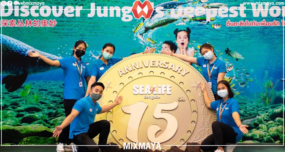 ซีไลฟ์ แบงคอก ครบรอบ 15 ปี เปิดอควาเรียมต้อนรับทุกคนในธีมเฉลิมฉลอง พร้อมปล่อยกิจกรรมแน่นๆ ตลอดธันวาคมนี้