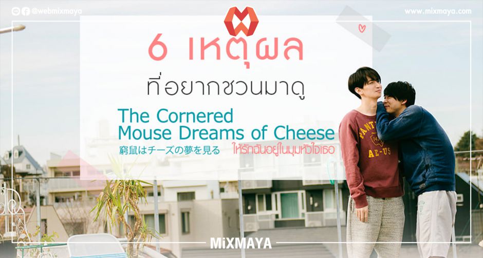6 เหตุผลที่อยากชวนมาดู "The Cornered Mouse Dreams of Cheese ให้รักฉันอยู่ในมุมหัวใจเธอ"