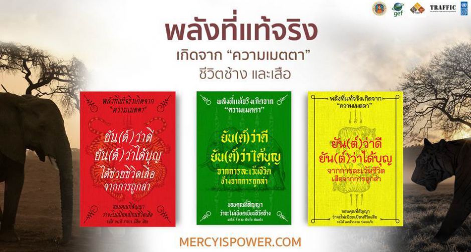 ชวนร่วมแคมเปญ Mercy is Power พลังที่แท้จริงเกิดจากความเมตตาชีวิตช้างและเสือ