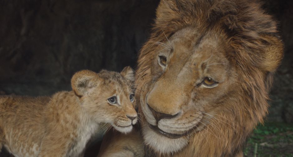ดนตรีและเพลงประกอบสุดประทับใจ อีกหนึ่งเหตุผลที่ทำให้ Disneys Mufasa The Lion King เป็นภาพยนตร์ฟอร์มยักษ์ที่ไม่ควรพลาด