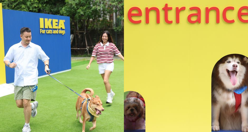 อิเกีย ตอกย้ำความเป็น Pet-friendly ชวนคนรักสัตว์เลี้ยงเช็คอิน งาน เติมเต็มบ้านด้วยความรักและหัวใจคนฟู ณ เอ็ม ยาร์ด