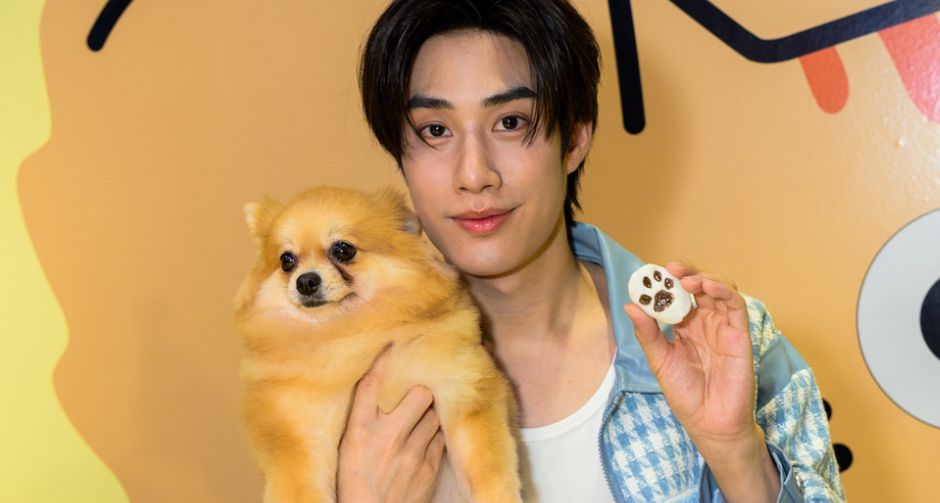 สยามดิสคัฟเวอรี่เปิดตัว PAW LAB  พื้นที่ที่ให้เจ้าของและสัตว์เลี้ยงได้ค้นพบและใช้เวลาสำรวจร่วมกันอย่างมีความหมาย