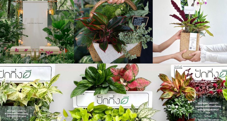 คนโฆษณาและภาพยนตร์ รวมตัวเปิดแบรนด์แห่งชีวิต ปักกิ่งดี ที่จะเป็นทางเลือกใหม่ในทุกโอกาส 