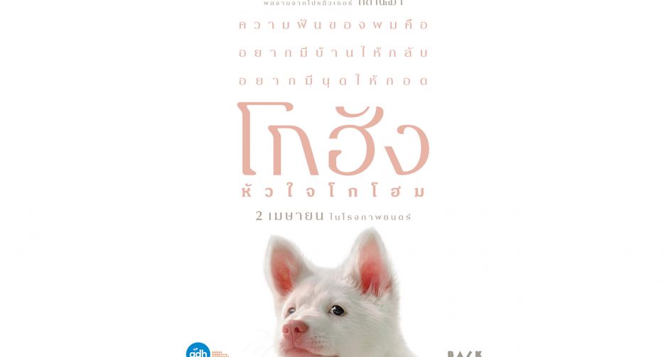 GDH เปิดตัวโปสเตอร์แรก โกฮัง..หัวใจโกโฮม ภาพยนตร์สุดอบอุ่นที่จะฮีลใจคุณด้วยความรักจากเจ้าหมาจร
