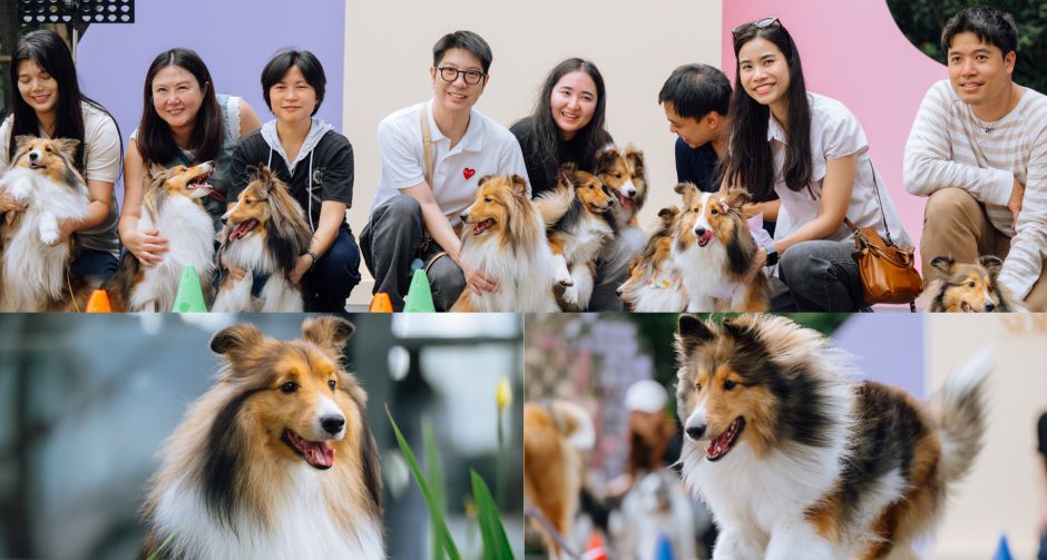 มากกว่าพื้นที่ แต่คือโมเมนต์ดีๆ เดอะ ปาร์ค รวมพลเชลตี้ ในงาน The Shelties Soiree เติมเต็ม Pet-Friendly Community