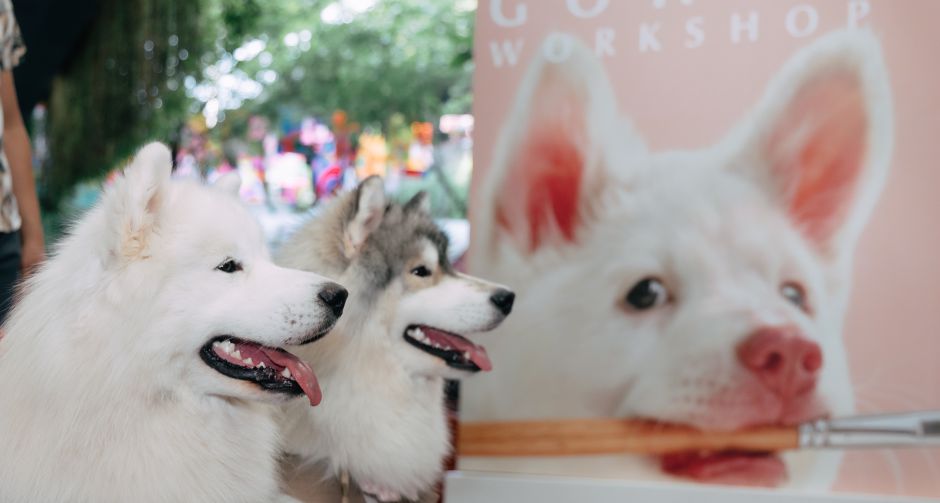 GDH จับมือ CPN จัดกิจกรรม โกเวิร์กช็อปไปกับเจ้าโกฮัง เนรมิตพื้นที่ศูนย์การค้า CENTRAL WESTVILLE - CENTRAL EASTVILLE