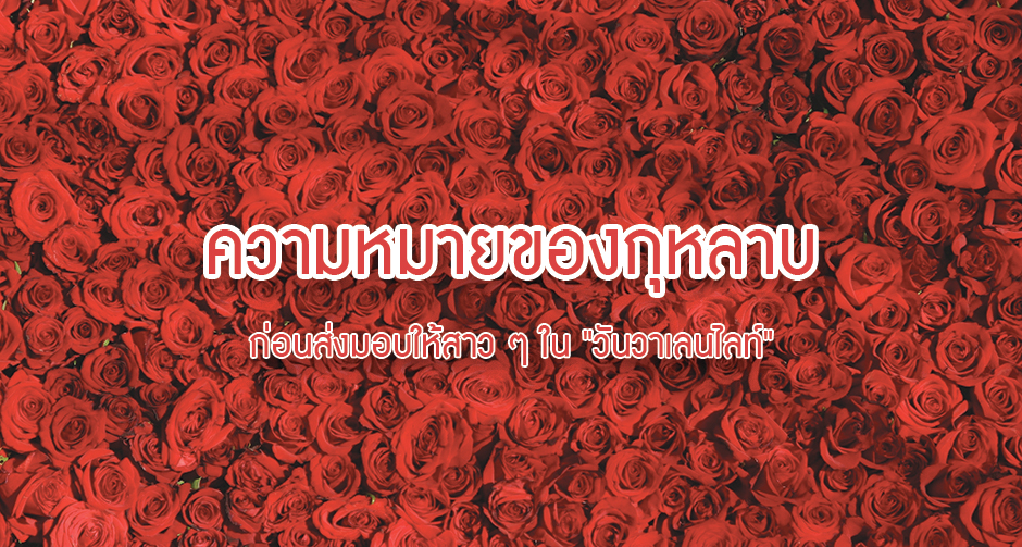 ความหมายของกุหลาบ ก่อนส่งมอบให้สาว ๆ ใน "วันวาเลนไลท์"